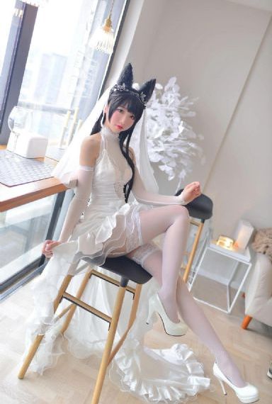 电影追龙2_4K动漫免费观看