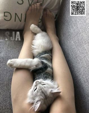 丈夫的朋友们_超清日韩电影在线