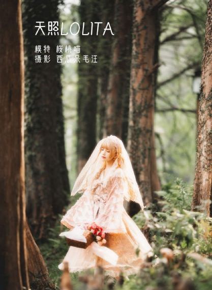 屋顶电影在线观看完整版_迅雷下载电影