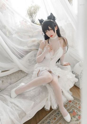 以爱为营电视剧在线观看_HD手机免费观看完整